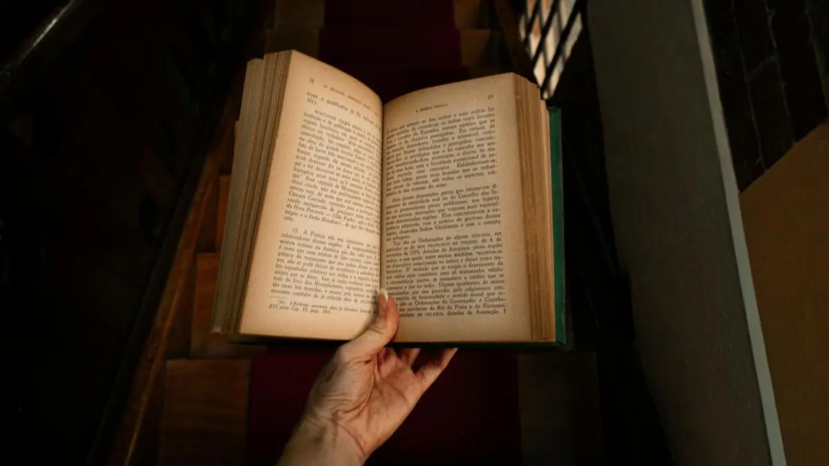 Turn voice notes and rough ideas into a finished book for $49