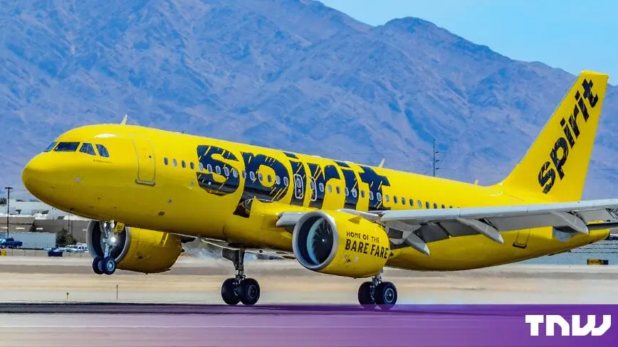 Spirit Airlines data: Google chose its own anonymisation agent